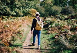 Sponsored Walks